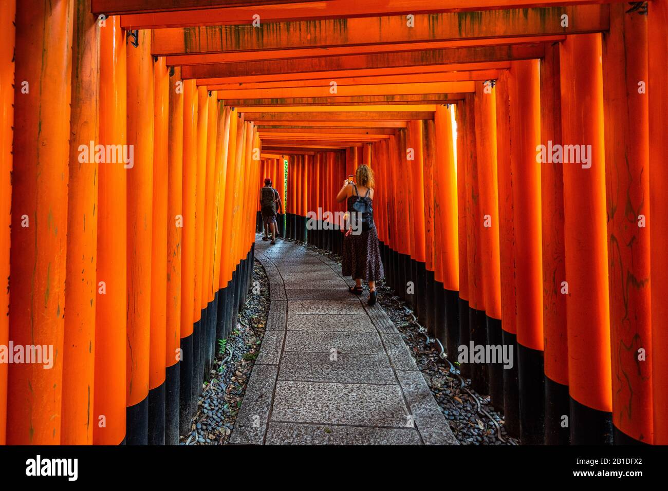 A walking path leads through a tunnel of torii gates at Fushimi Inari ...