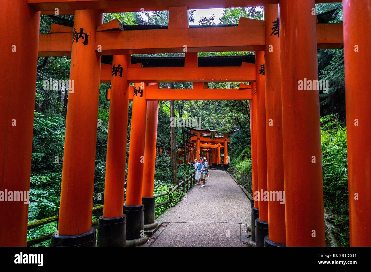 View of Senbon Torii, a scenic pathway in the forest covered by thousands of torii gates at Fushimi Inari shrine, Kyoto, Japan Stock Photo