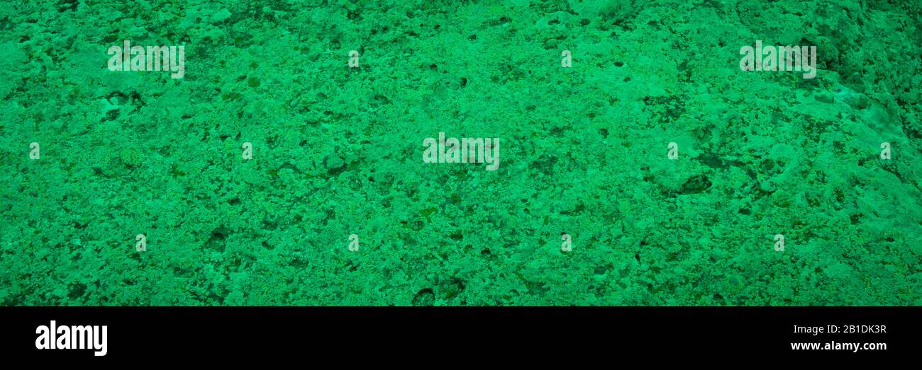 Granite texture, green granite surface for background, material for decorative texture, interior design Stock Photo