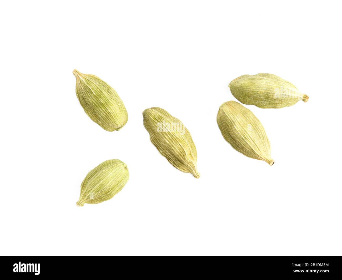 Green cardamom seed isolated on white background. Indian cuisine