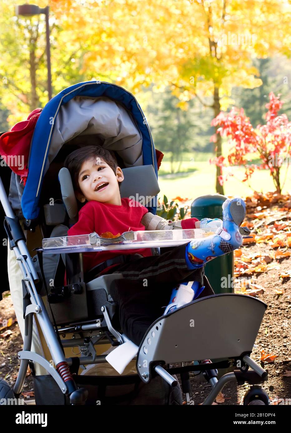 Handsome little disabled child sitting in wheelchair at park on sunny day outdoors with colorful yellow leaves on trees in background Stock Photo