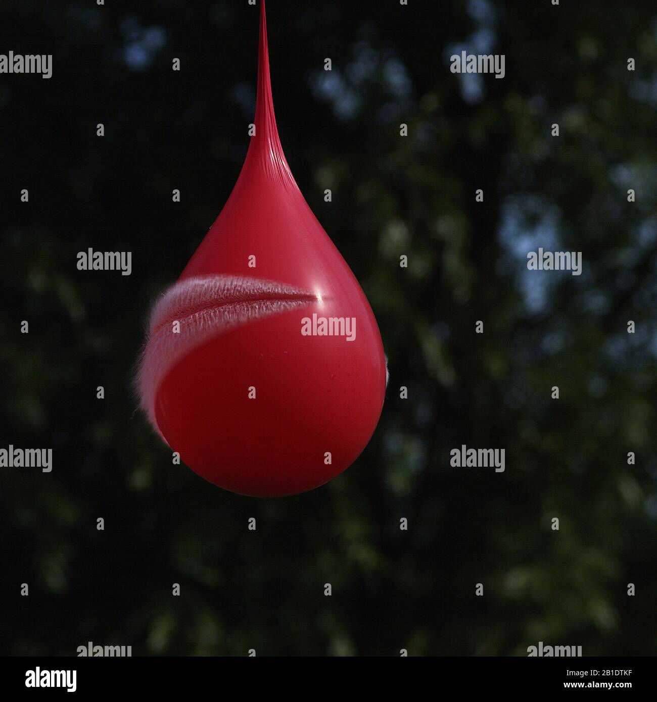 Shot Breaking Water Filled Red Balloon Stock Photo