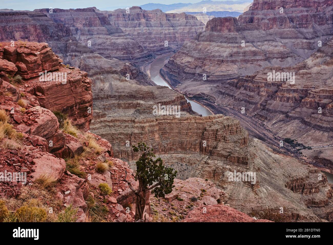 Grand Canyon, USA, West Rim with the Colorado River down below Stock Photo