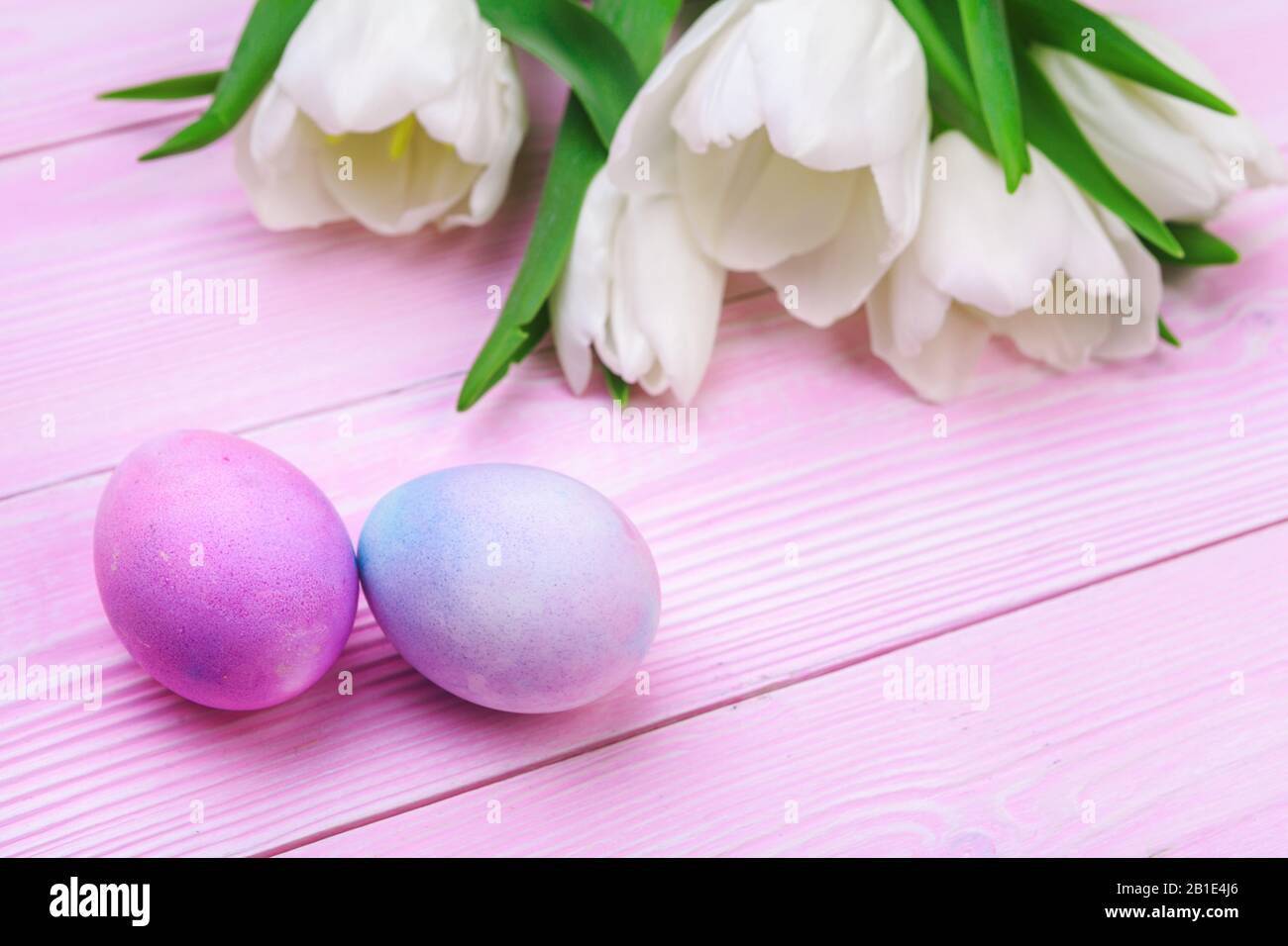 Easter background with colorful eggs and tulips over pink wood. Top ...