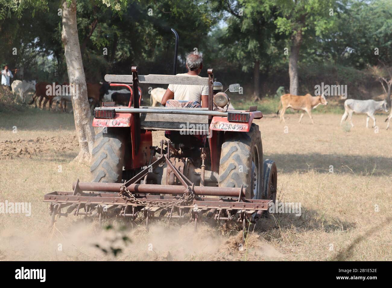 tractor cultivate on ground by farmer , Indian farmer image, jay kishan jay jawan . Stock Photo