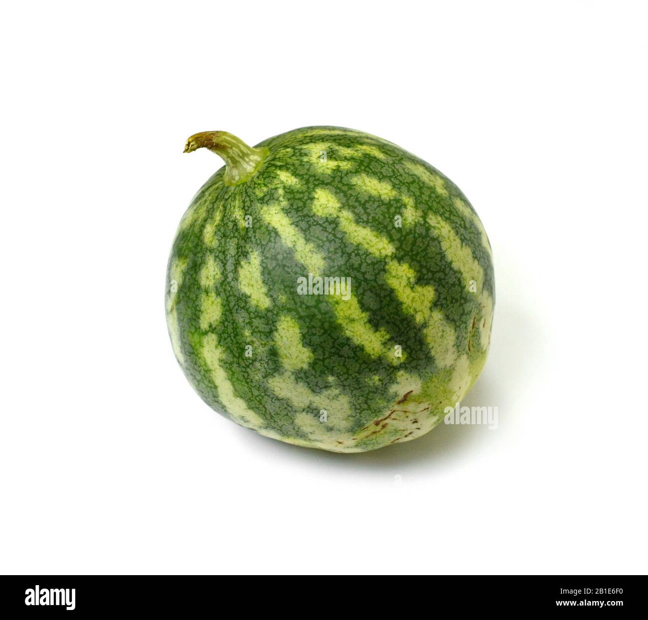 Watermelon isolated on the white background Stock Photo - Alamy