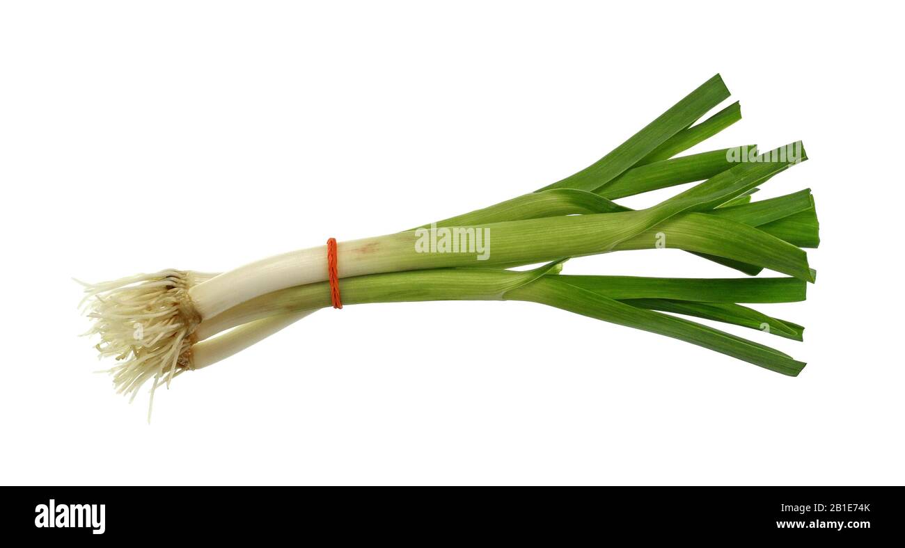 Young garlic leaves isolated on white Stock Photo Alamy