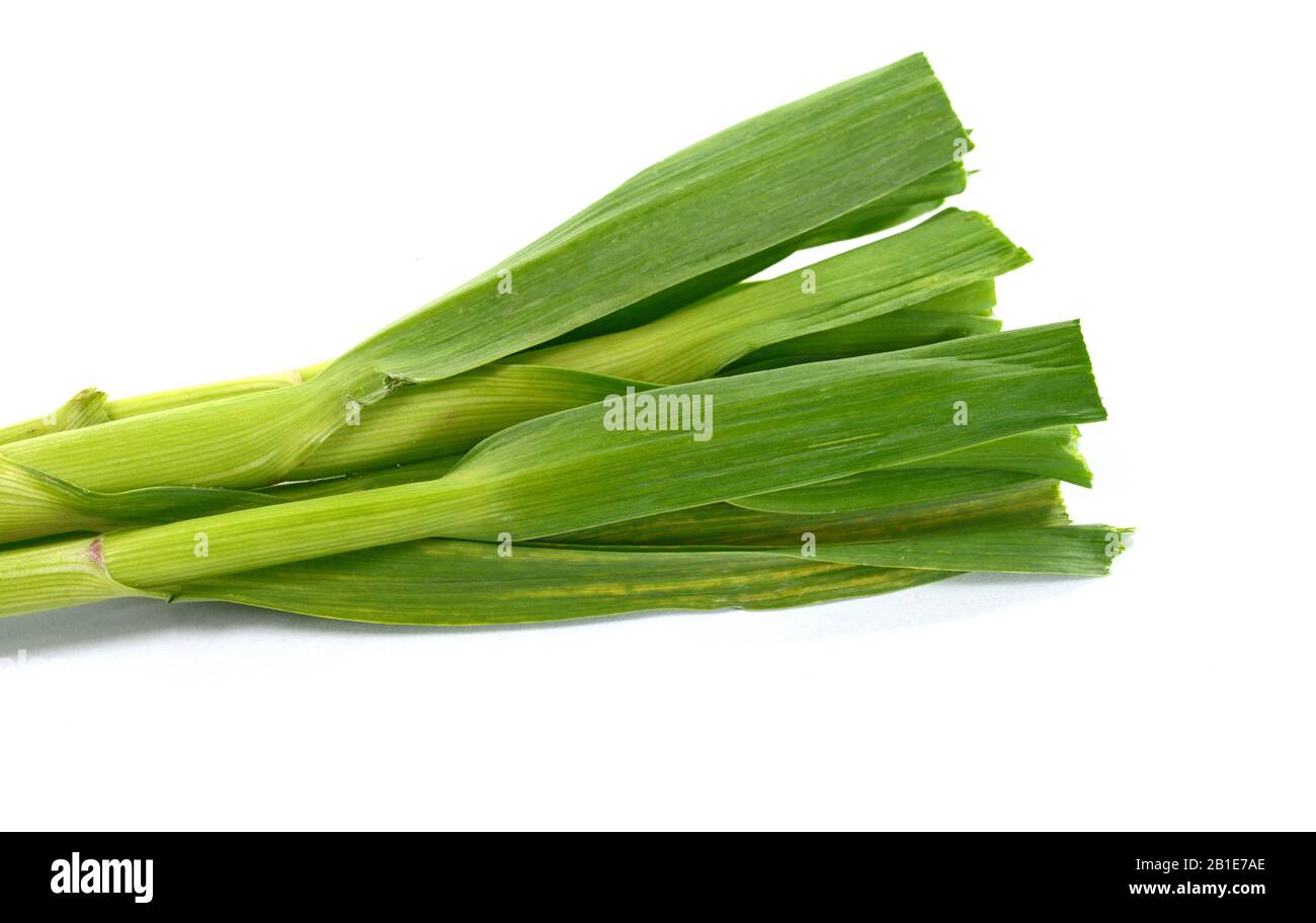 Young garlic leaves isolated on white Stock Photo Alamy