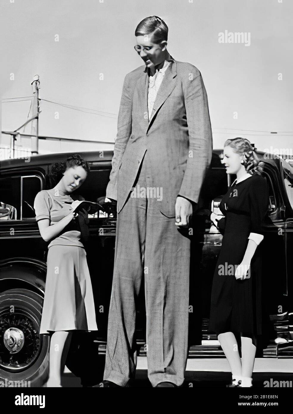 who was robert wadlow