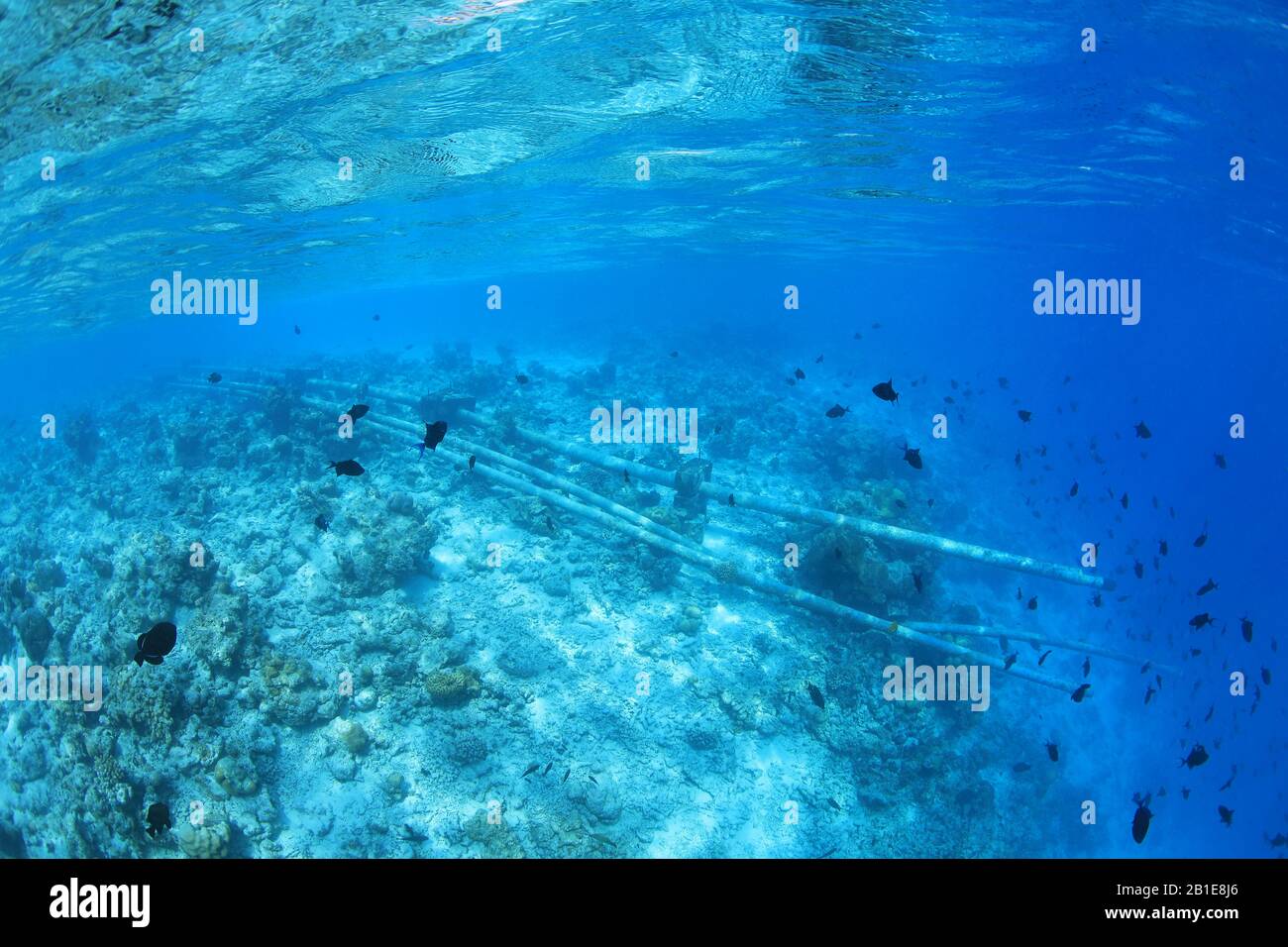 Sewer wastewater pipes underwater in the tropical coral reef of the indian ocean Stock Photo
