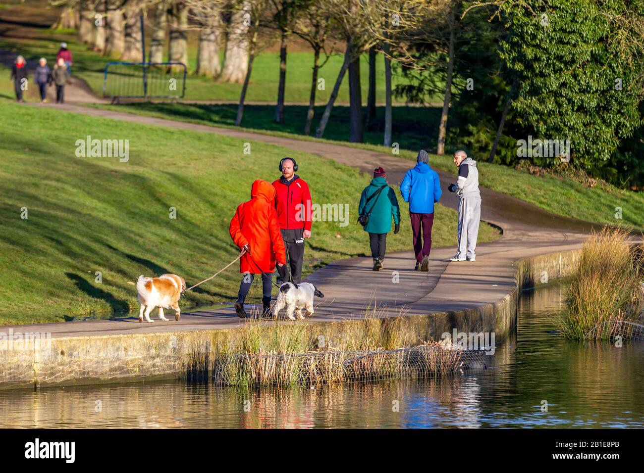 Northampton, UK. 25th Feb, 2020. UK Weather, Abingting Park a lady with her dogs walking around the lake in colourful jackets on a cold bright sunny morning . Credit: Keith J Smith./Alamy Live News Stock Photo