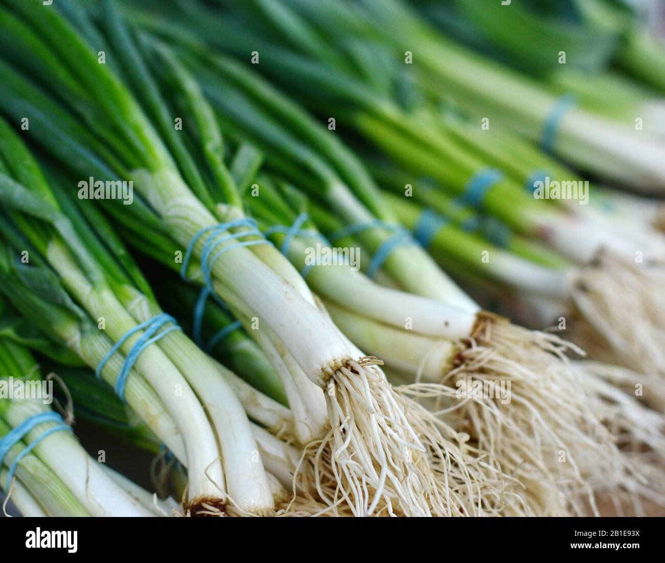 Young onions on the market. Green onion leaves on the market Stock