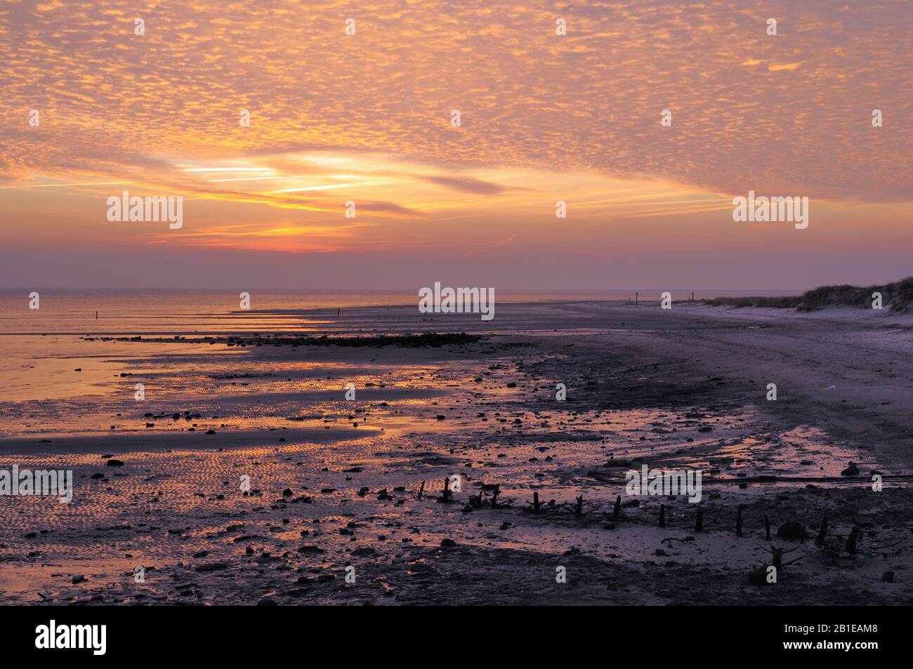 sunrise at the beach in winter, Netherlands, Texel Stock Photo