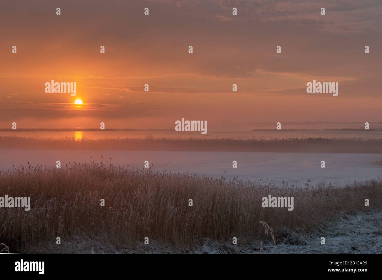 Misty Sunrise at Amstelmeer, Netherlands, Amstelmeer Stock Photo