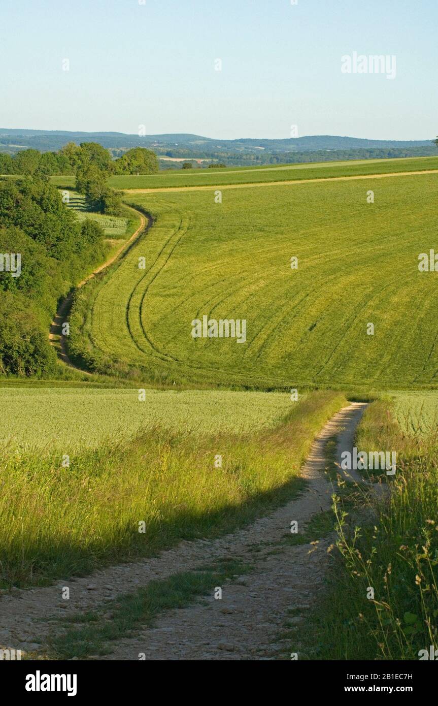 GR13 path in the countryside, Yonne, France Stock Photo