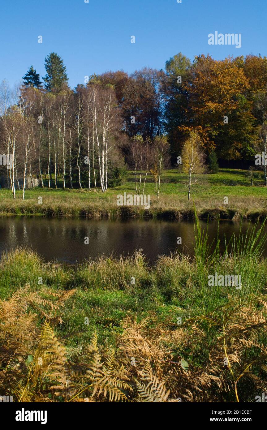 Pond in autumn, Morvan Regional Park, Nievre, France Stock Photo