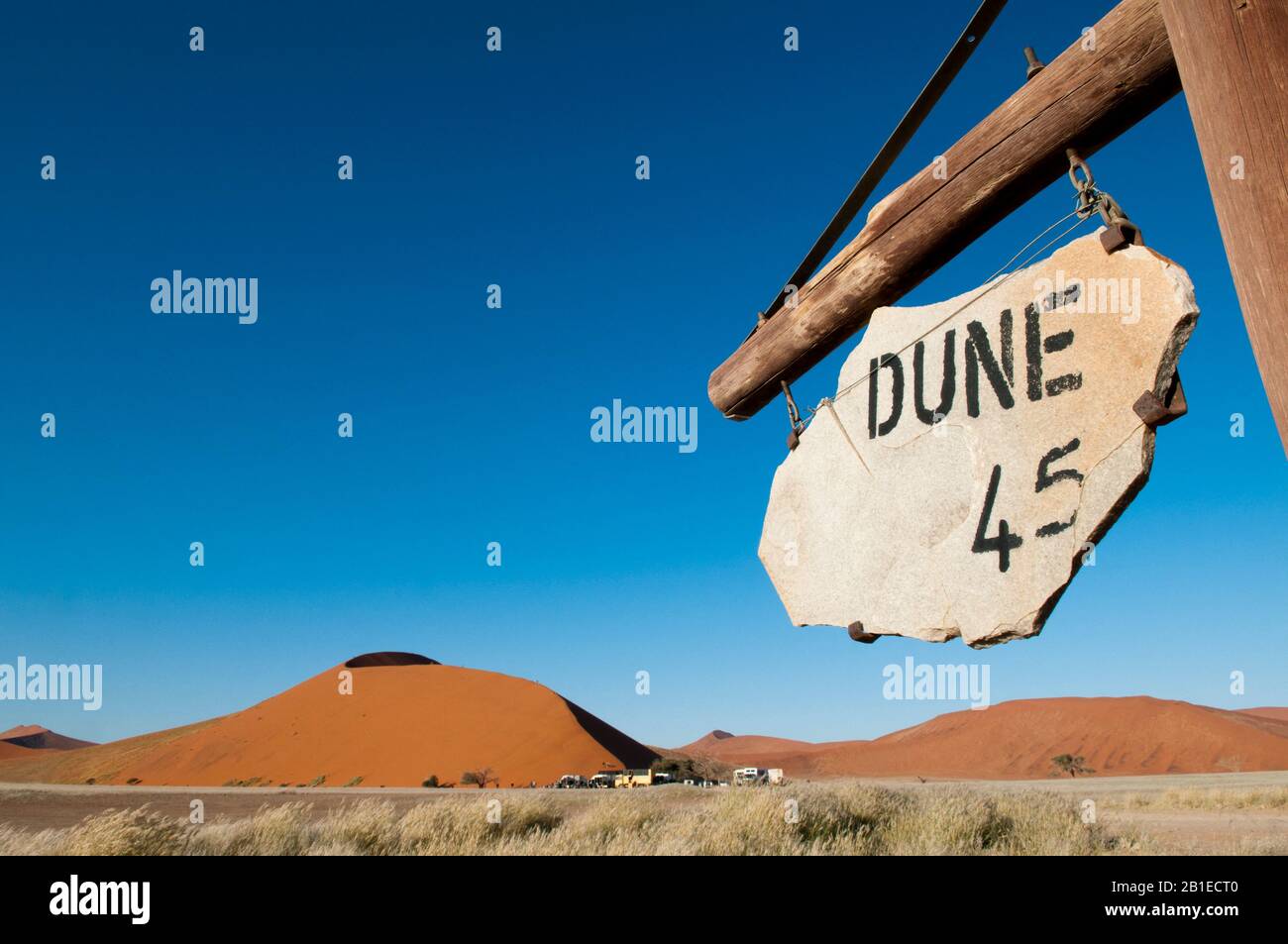 Dune 45, Sossusvlei, Namib Naukluft Park, Namib Desert, Namibia. Stock Photo
