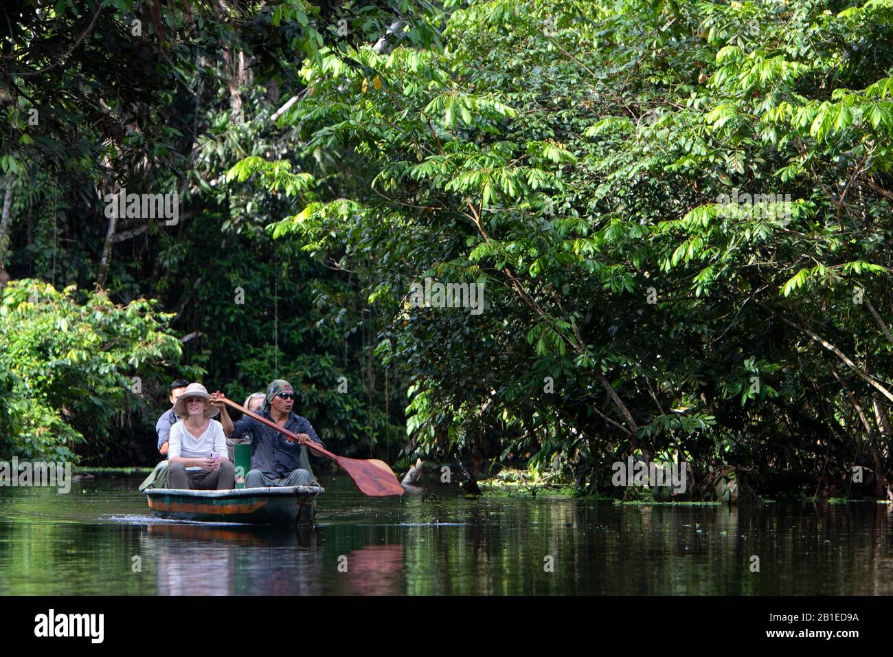 Ecotourism in flood forest, Napo Wildlife lodge, Yasuni Nationl Park, Amazon, Ecuador Stock Photo