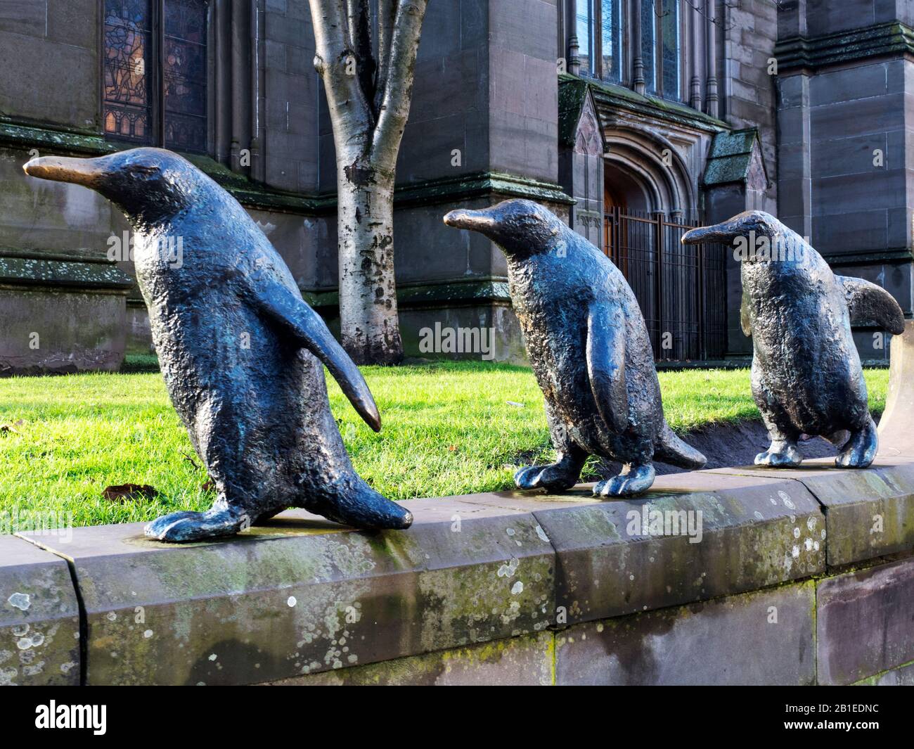 photo Whale Sculpture Dundee https www alamy com three of the five penguin sculptures by angela hunter on the wall at dundee parish church nethergate dundee scotland image345140136 html