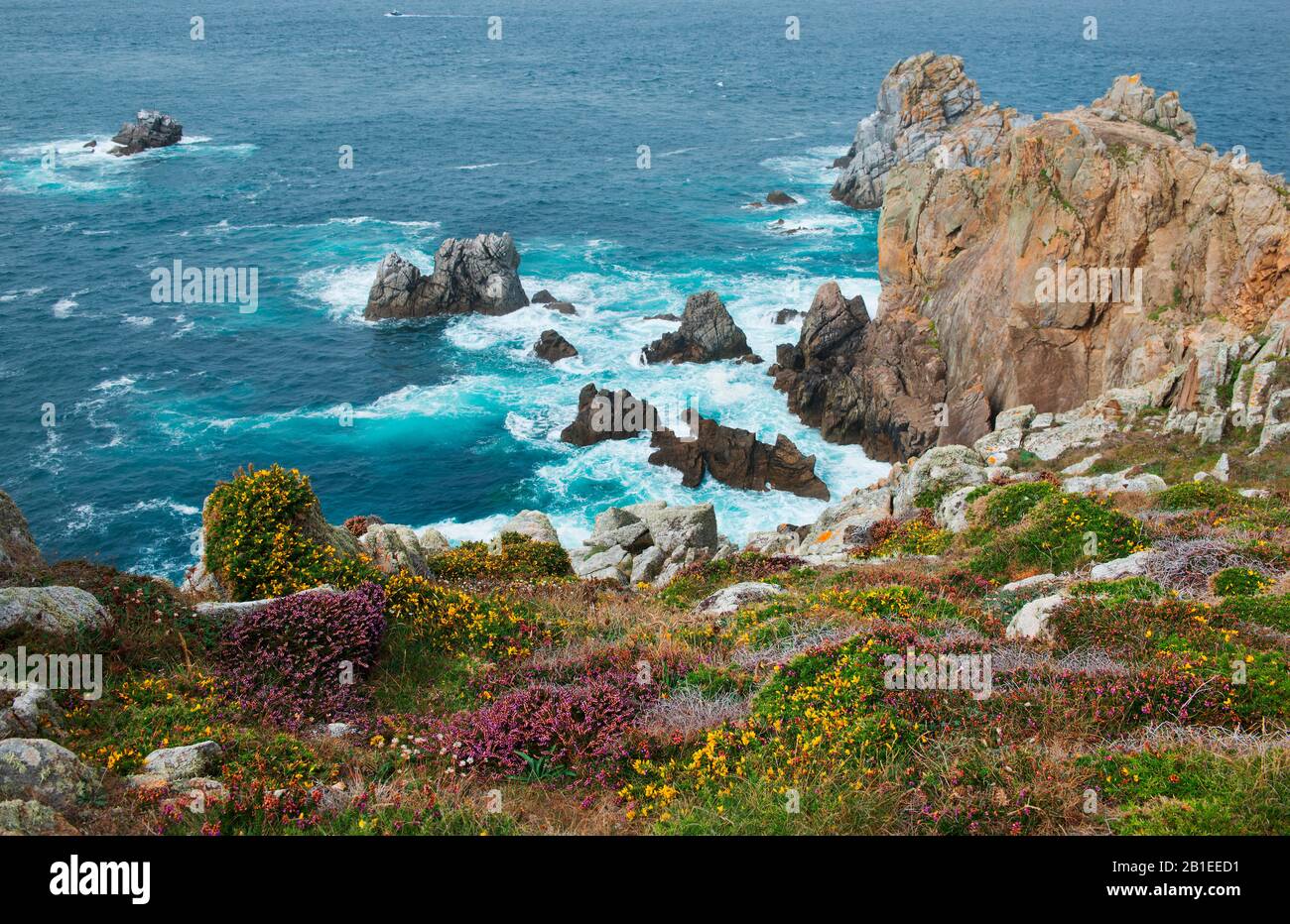 Pointe du Van, Cap Sizun Nature Reserve, Brittany, France Stock Photo
