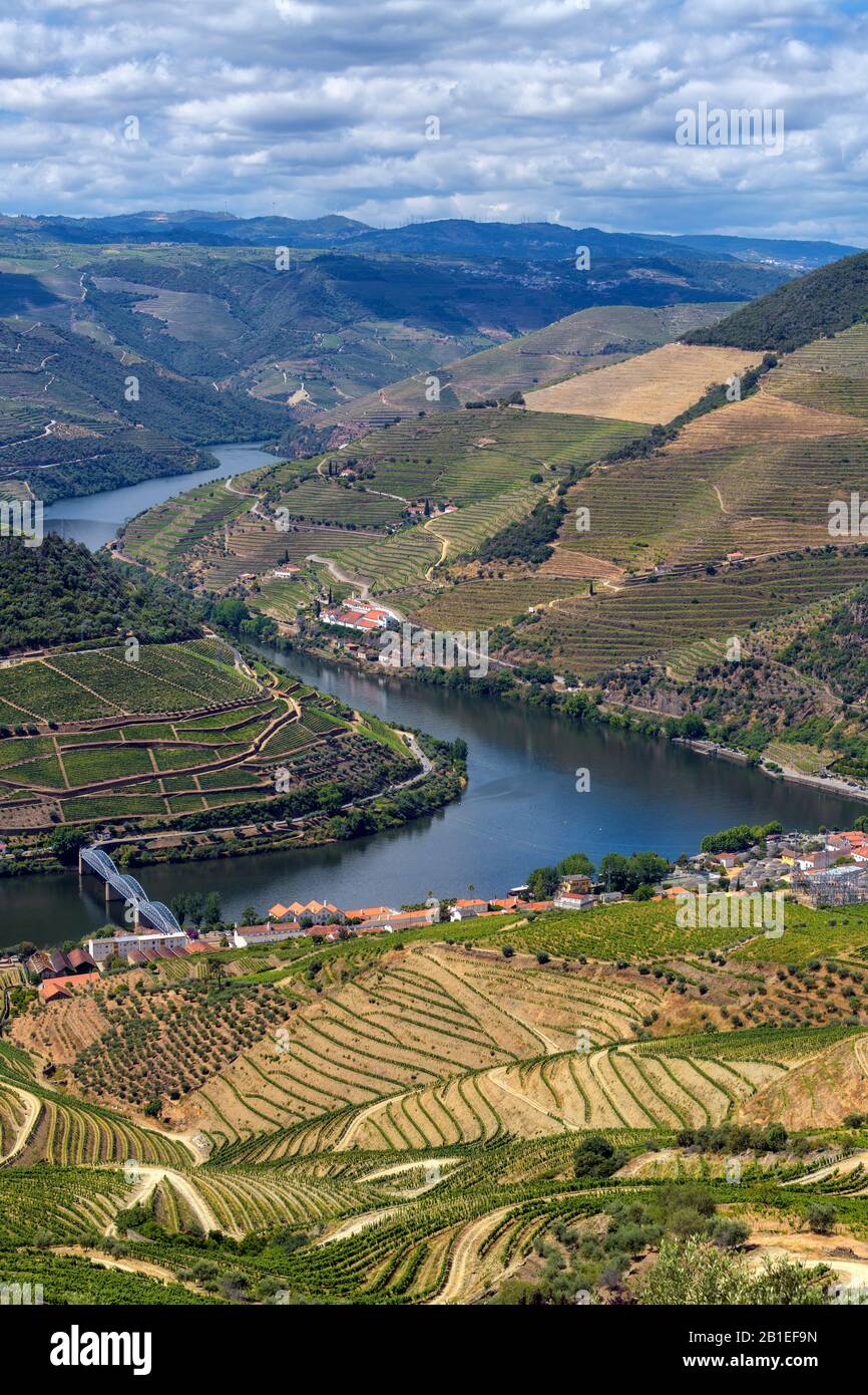Vineyard of the Upper Douro Valley, Portugal Stock Photo