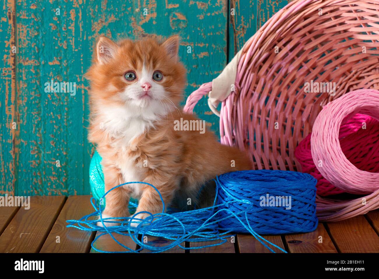 Orange and white kitten sitting by fallen pink basket with balls of strings Stock Photo