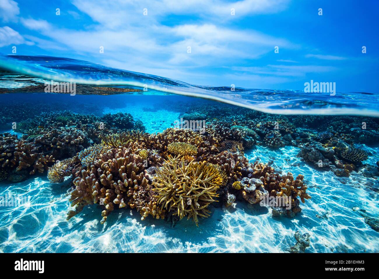 Mid mid air view of the coral reef of Mayotte lagoon at low tide. Stock Photo