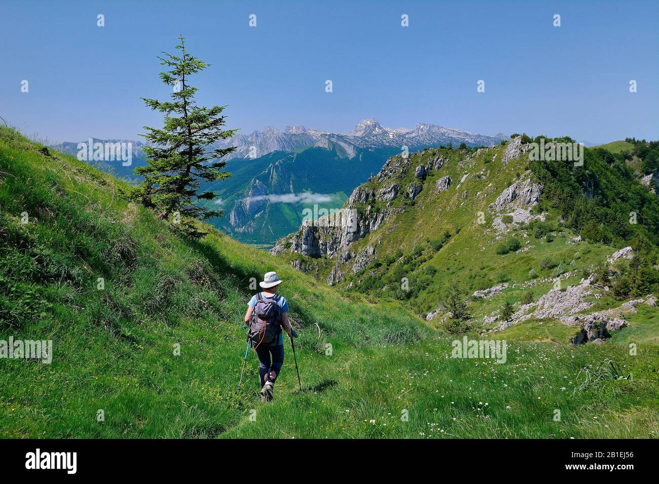 Hiking To The Bois Du Gey Chat Sauvage Biotope Aspe Valley Pyrenees France Stock Photo Alamy