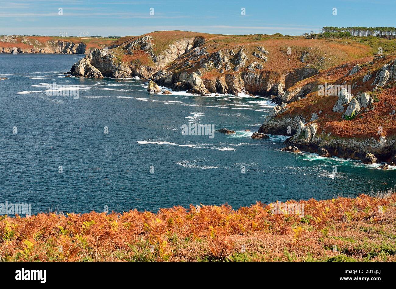 On the coastal path, Cap Sizun Nature Reserve, Finistere, Brittany