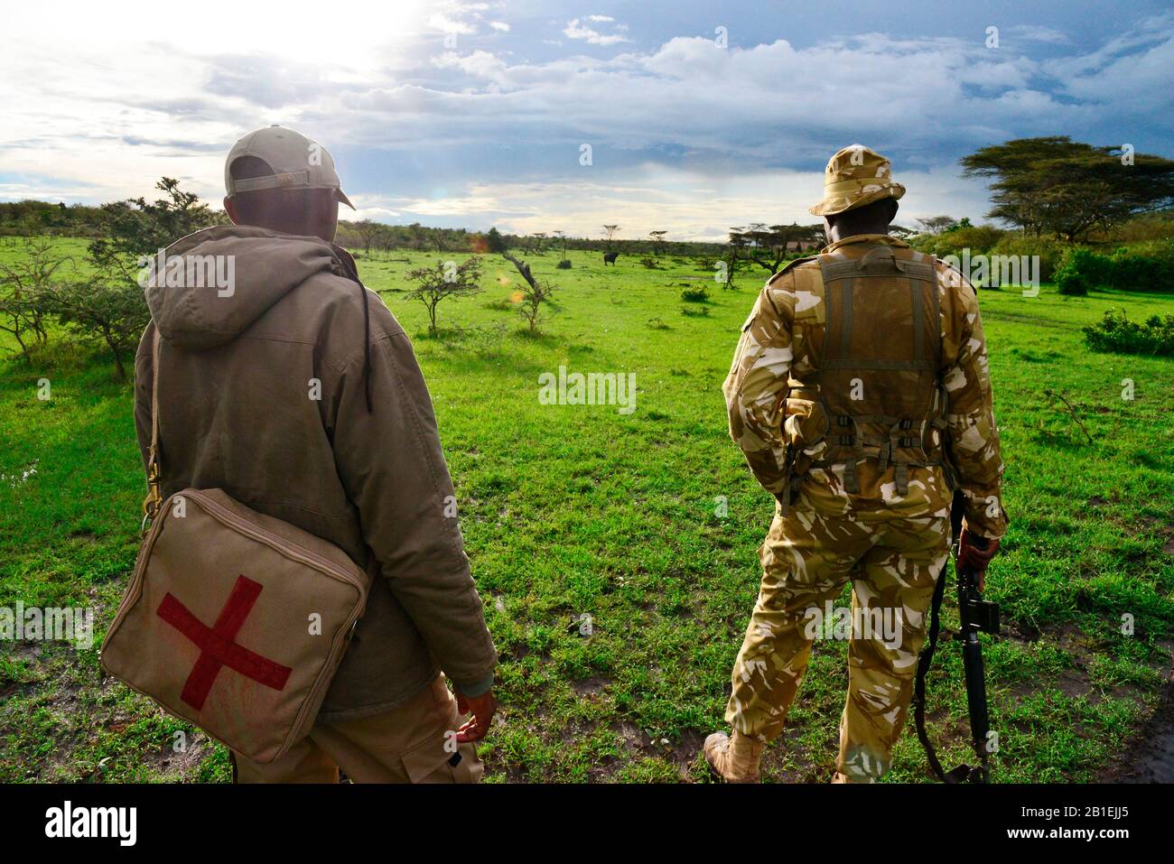 Armed rangers walking in a conservancy near the park, Masaï Mara national park, Kenya. Stock Photo