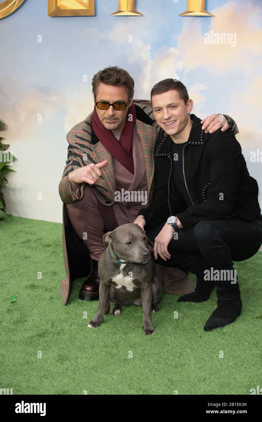 Robert Downey Jr And Tom Holland Hi res Stock Photography And Images robert-downey-jr-and-tom-holland-hi-res-stock-photography-and-images