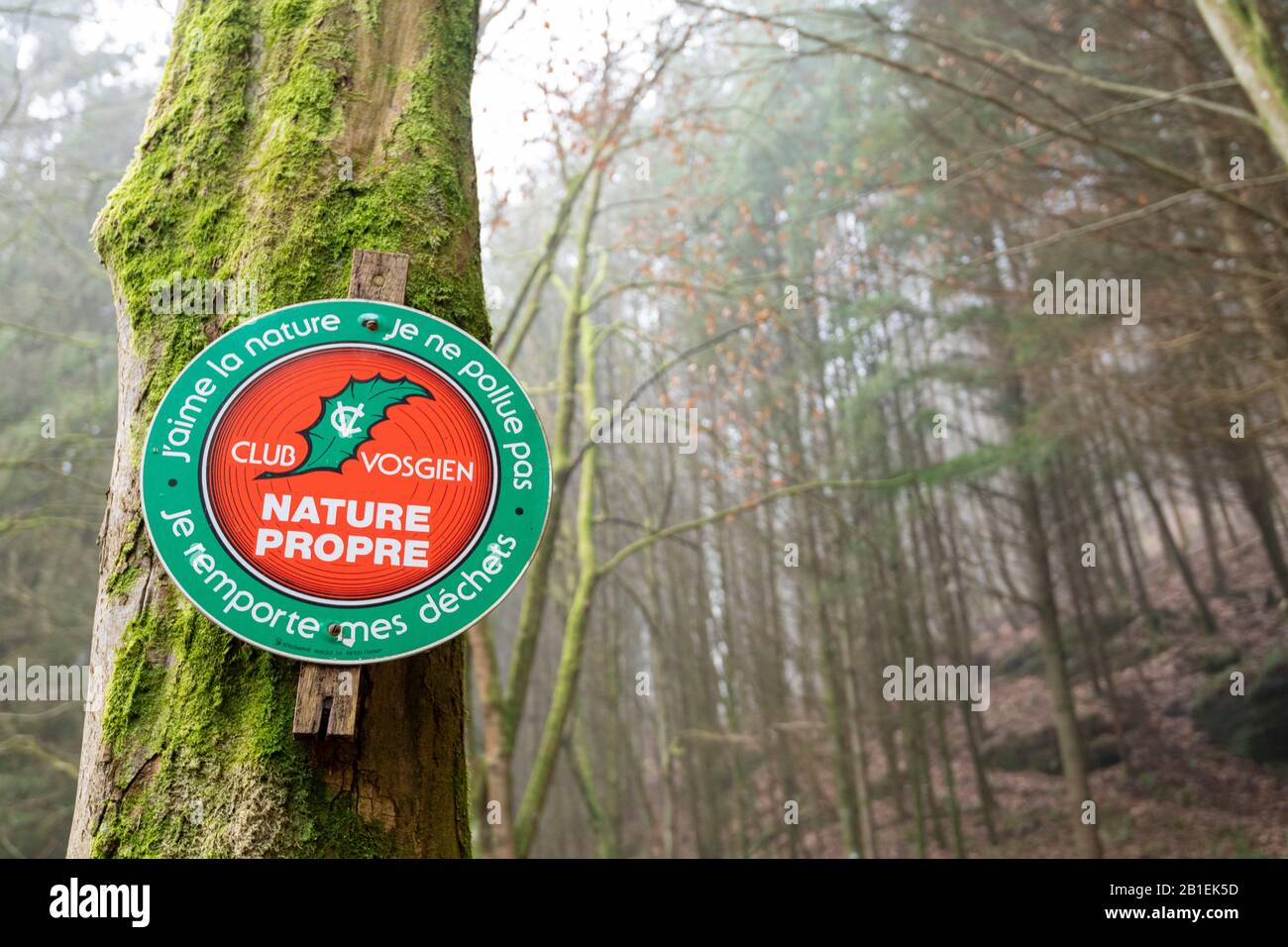 Sign of the Vosges club on a tree, sensitizing hikers to keep the forest clean, winter, Moselle, France Stock Photo