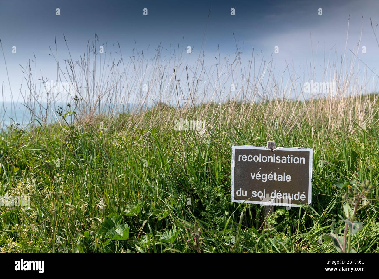 Sign indicating the vegetal recolonization of the soil, Ille et Vilaine, France Stock Photo