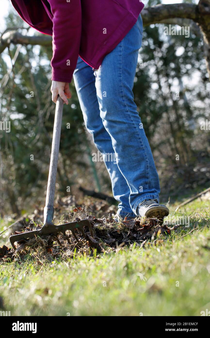Woman cleans the garden in early spring and empty space for text Stock Photo