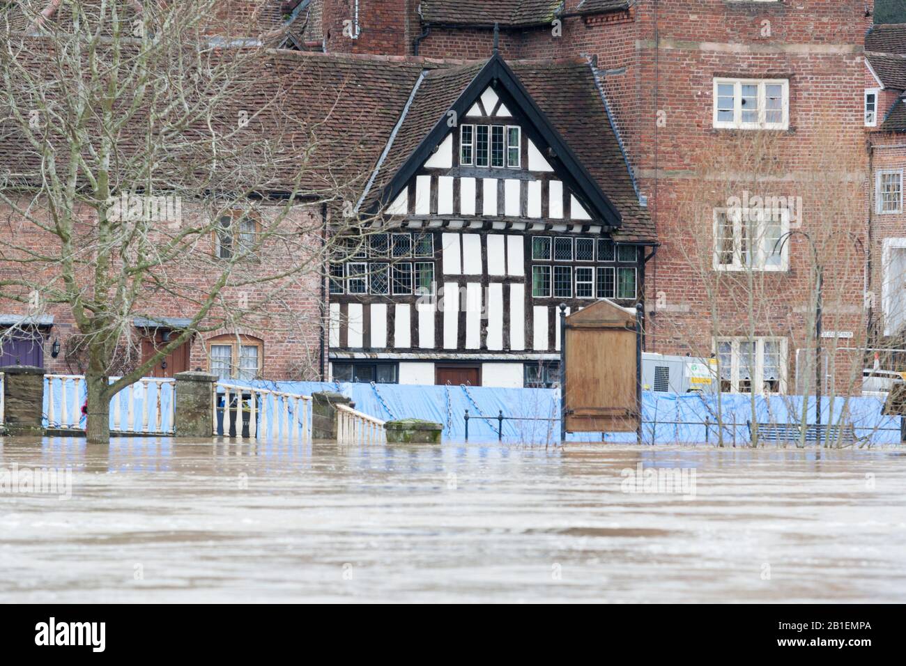Bewdley, Worcestershire, UK. 25th Feb, 2020. The River Severn at Bewdley continues to rise after rain in Wales last weekend increased the flow. Flood barriers have been re-erected in the last 48 hours. Credit: Peter Lopeman/Alamy Live News Stock Photo