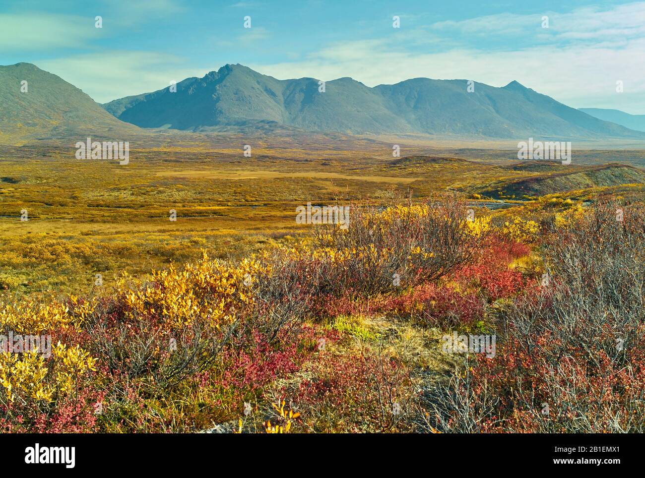 Cantwell formation hires stock photography and images Alamy