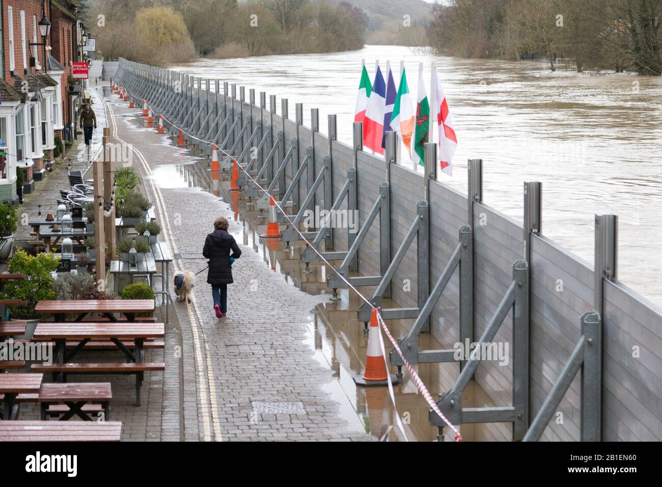 Bewdley, Worcestershire, UK. 25th Feb, 2020. The River Severn at Bewdley continues to rise after rain in Wales last weekend increased the flow. Flood barriers have been re-erected in the last 48 hours. Credit: Peter Lopeman/Alamy Live News Stock Photo