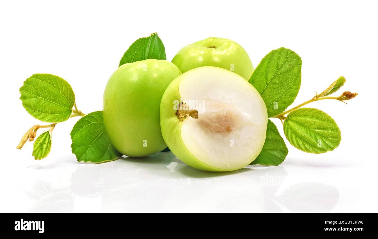 Fresh Green Jujube Fruit Isolated On White Background Stock Photo Alamy