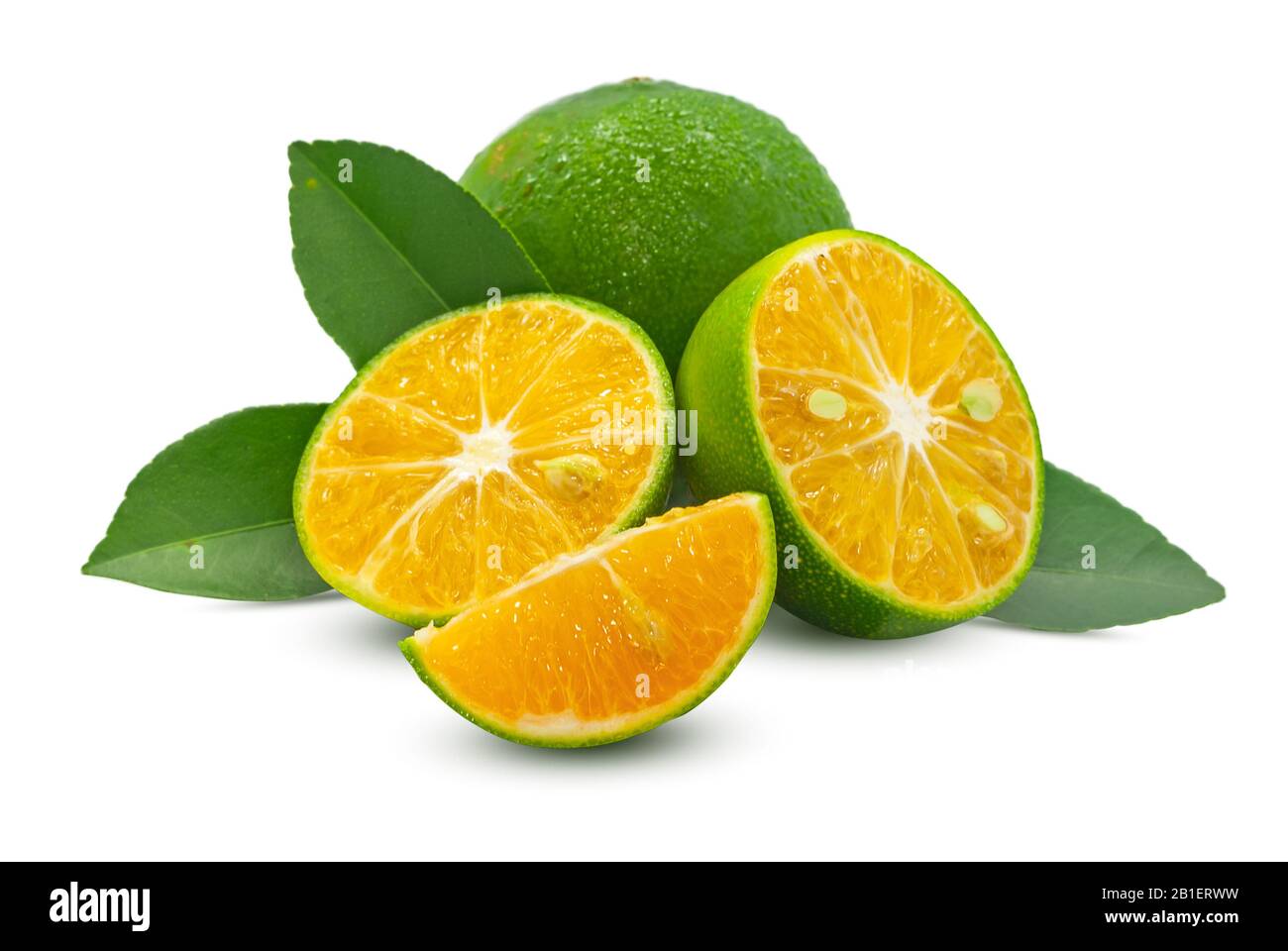 Green orange fruit isolated on white background Stock Photo - Alamy