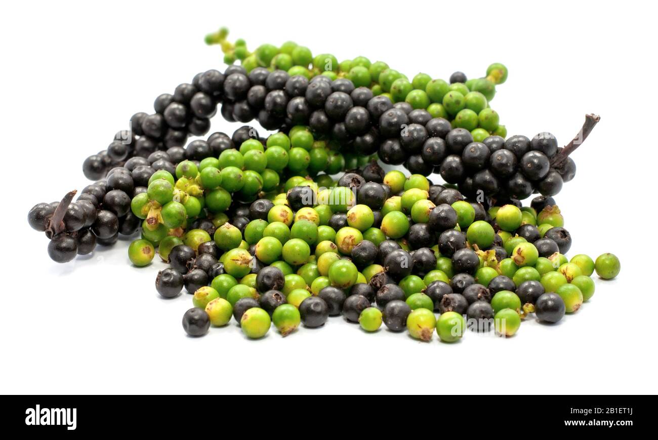 Fresh peppercorn isolated on white background Stock Photo Alamy