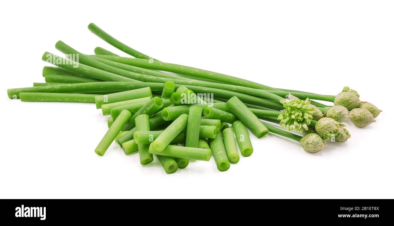 Chives flower or Chinese Chive isolated cut out on white background