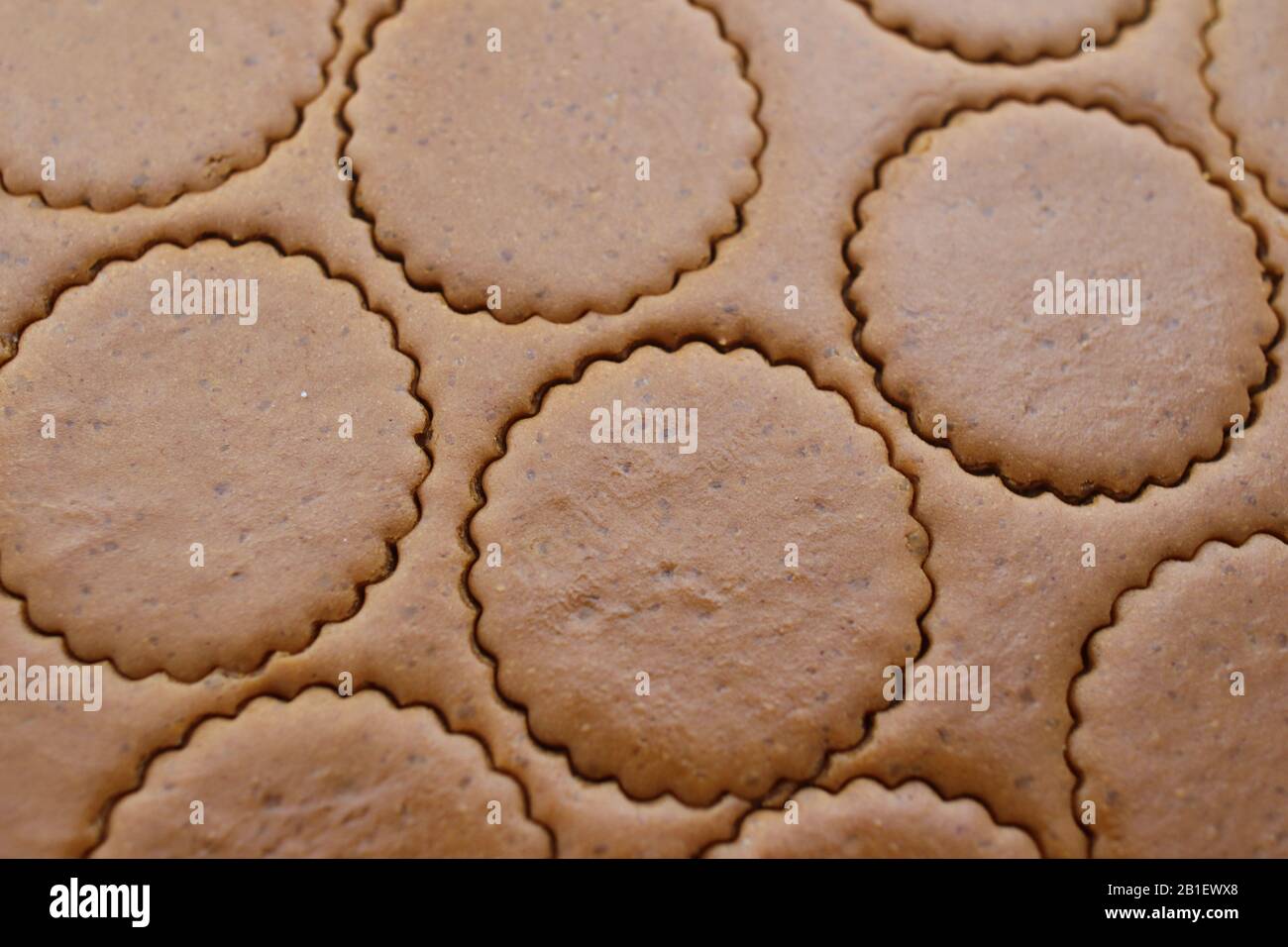Cookie dough with round cut outs, close-up. Making homemade cookies Stock Photo