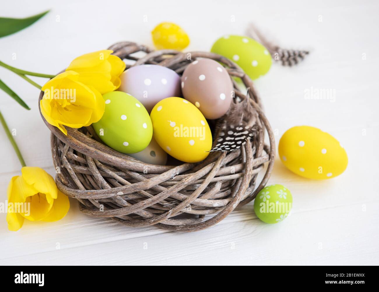 Nest with easter eggs and spring tulip flowers Stock Photo - Alamy