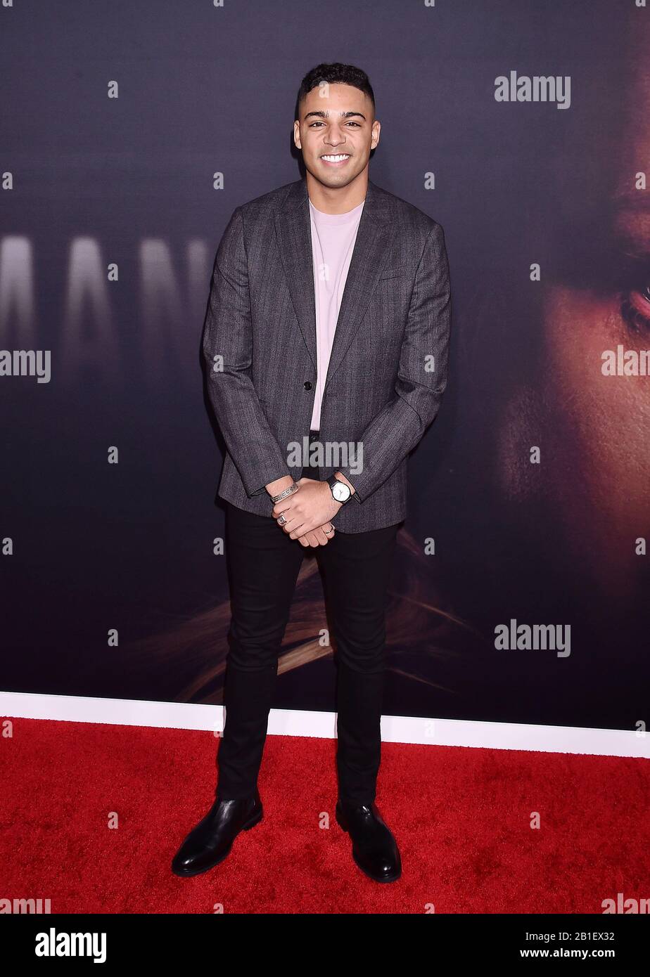 HOLLYWOOD, CA FEBRUARY 24 Michael Evans Behling attends the Premiere(02)