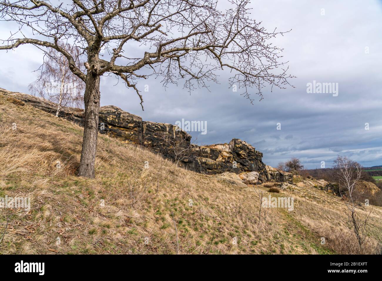 Die Felsformation Teufelsmauer im Landkreis Harz bei Weddersleben,  Sachsen-Anhalt, Deutschland  |  rock formation Teufelsmauer Devil's Wall, Harz For Stock Photo
