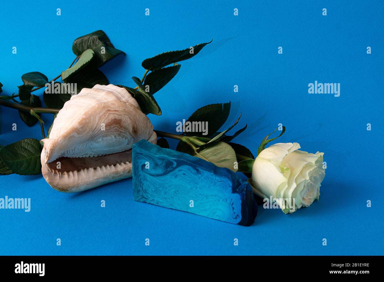 Still life with piece of blue mint handmade soap, big shell and white rose against bright blue background Stock Photo