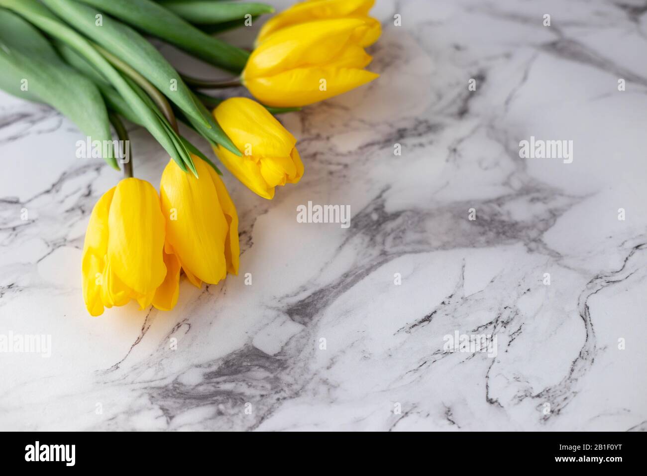A bouquet of yellow tulips lies in the upper left corner on a granite texture.Top view. Close up. Copy spase Stock Photo
