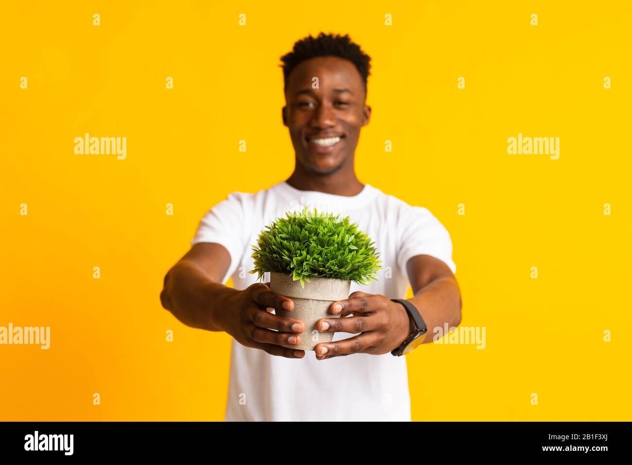 Young smiling african man holding pot with green plant Stock Photo - Alamy