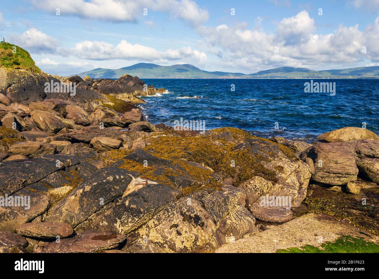 Hogs head hires stock photography and images Alamy