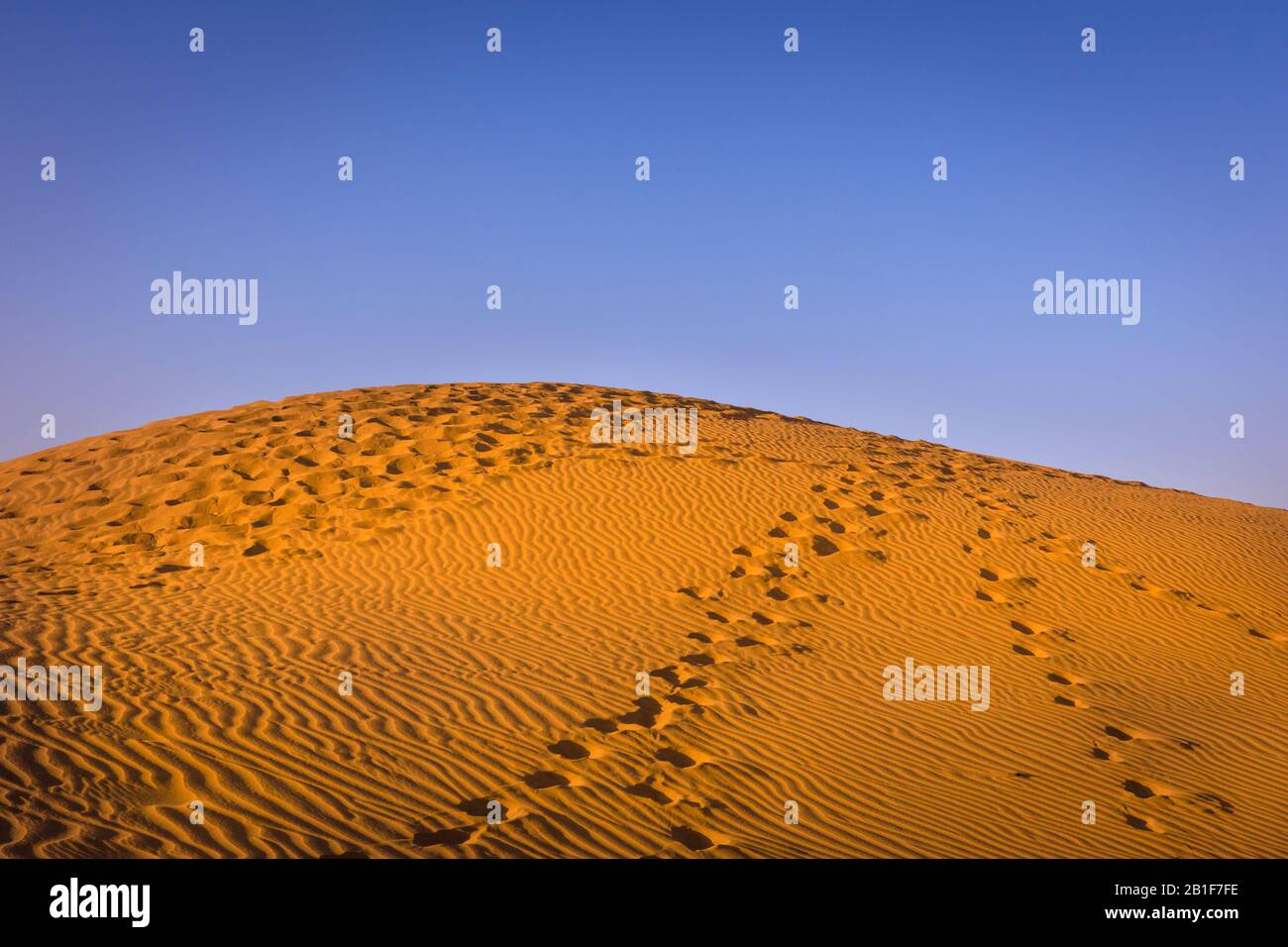 Maspalomas desert sand dunes, Maspalomas beach, Gran Canaria, Canary Islands, Spain Stock Photo